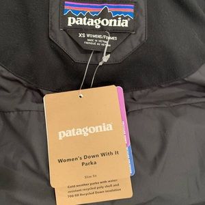 Patagonia Down With It Parka Slim Fit